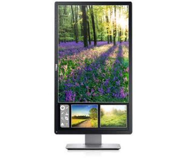 Dell P2414H - 163764 - zdjęcie 2